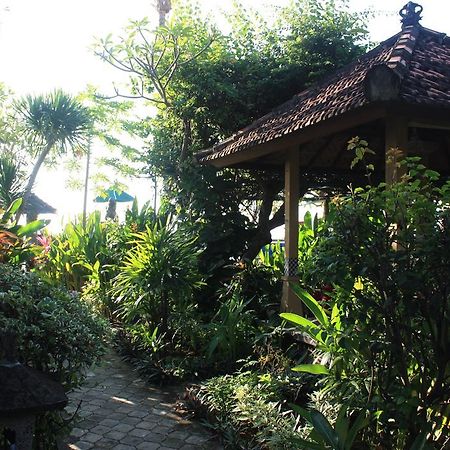 Cleopatra Beach Bungalows Hotel Lovina Zewnętrze zdjęcie